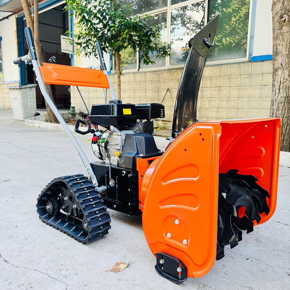 Hot Sale Self-Propelled Electr - Snow Blower Single reseña y precio