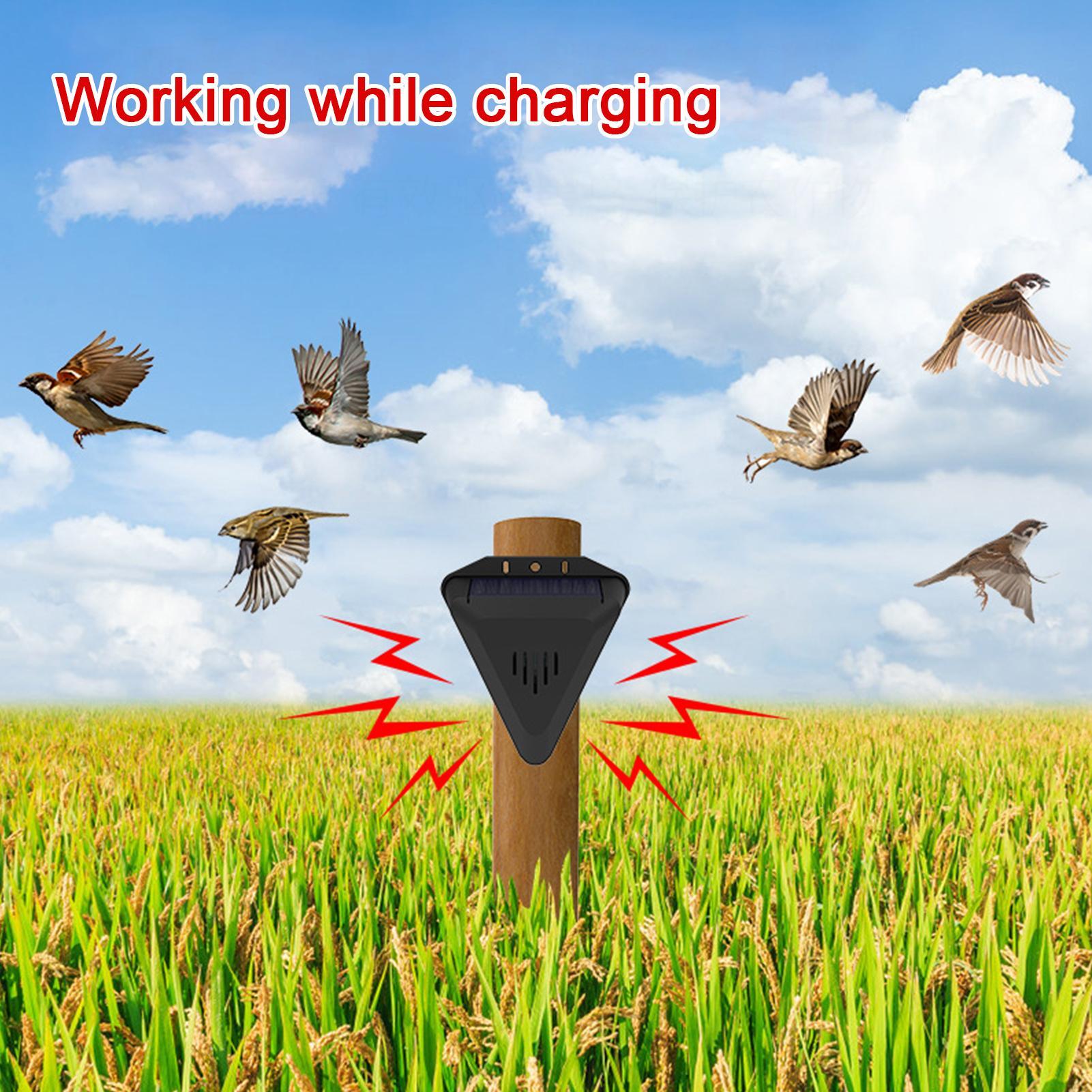 Solar Timer Bird Repeller With - Outdoor Power With Timer reseña y precio