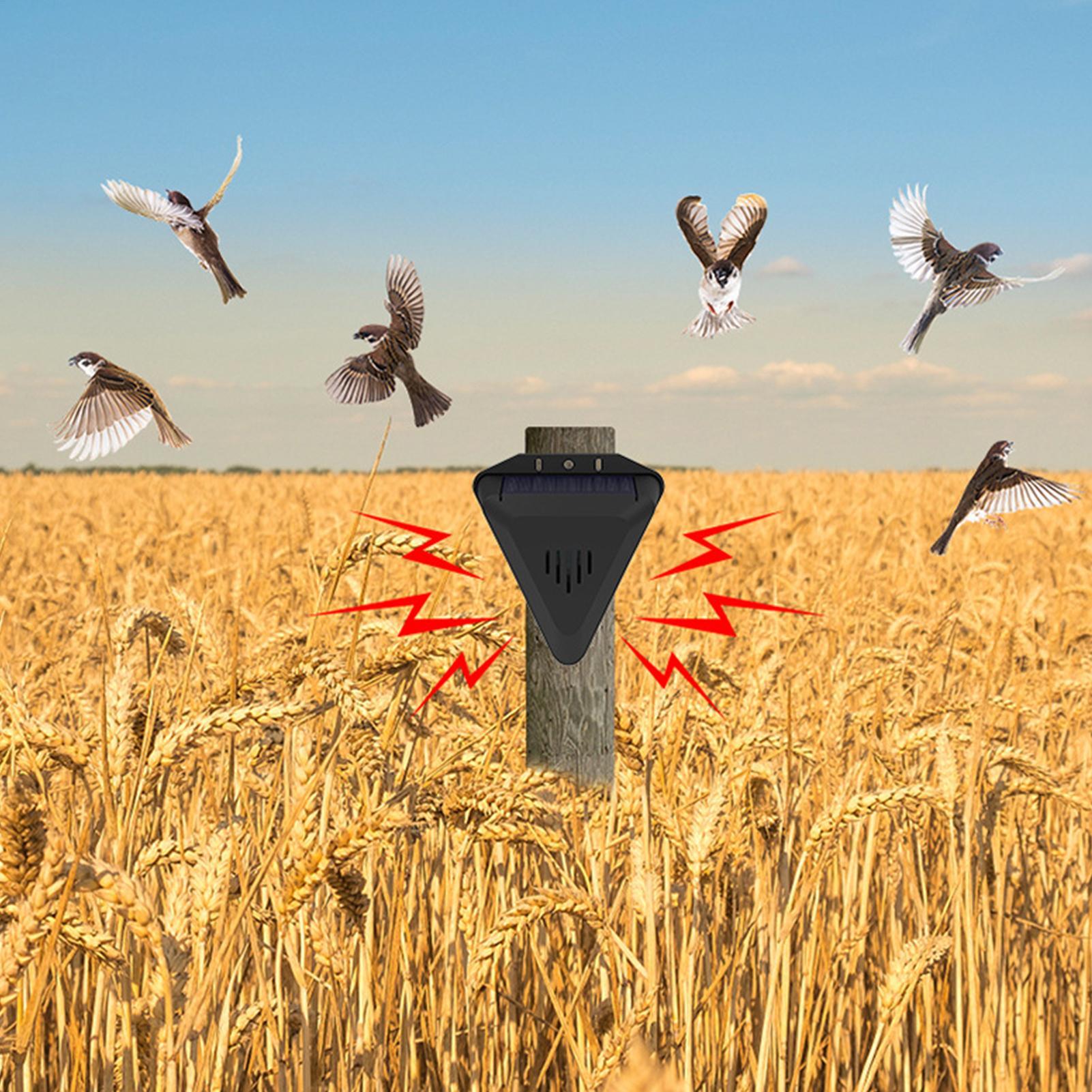 Solar Timer Bird Repeller With - Outdoor Power With Timer reseña y precio