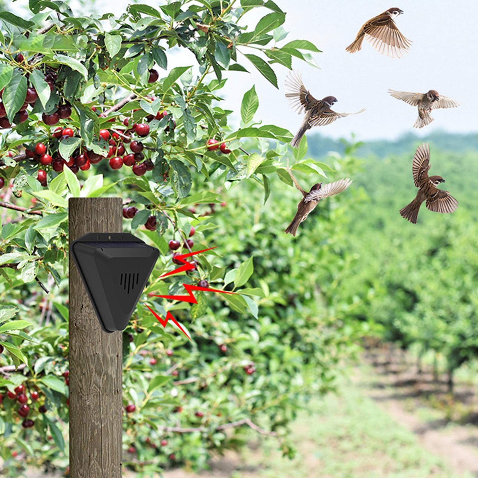 Solar Timer Bird Repeller With - Outdoor Power With Timer reseña y precio