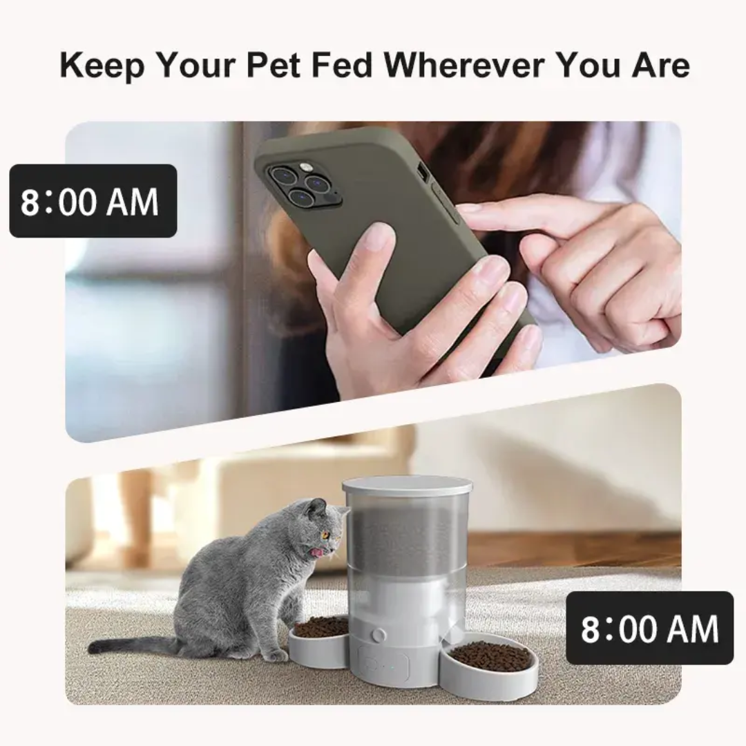 Elecpet Tuya Smart WiFi Automa - Outdoor Power With Timer reseña y precio